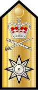 UK-Navy-OF7-shoulder (former)