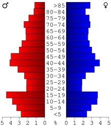 Age pyramid of county residents based on 2000 census data