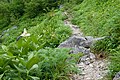 空木平登山道