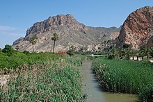 Imagen del río Segura a su paso por la huerta de Ojós.