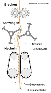 Vorschaubild für Schwingen (Faserpflanzen)