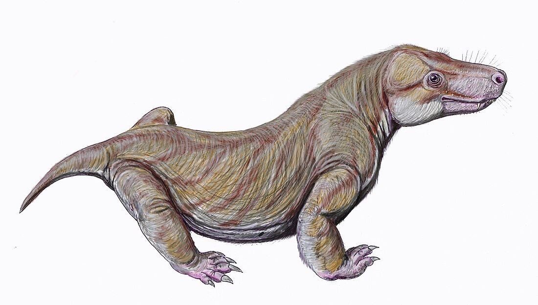 Viatkosuchus