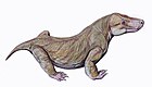 Viatkosuchus sumini.jpg