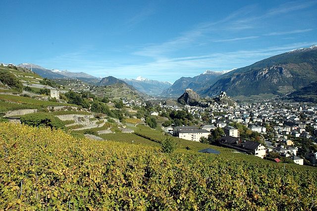 Vineyards in Sion