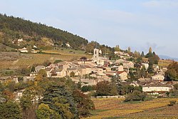 Skyline of La Roche-Vineuse