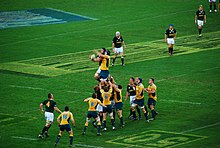 The Wallabies (Australian national rugby union team) compete for the ball in a lineout in a match against the South African Springboks. Wallabies vs Springboks lineout.jpg