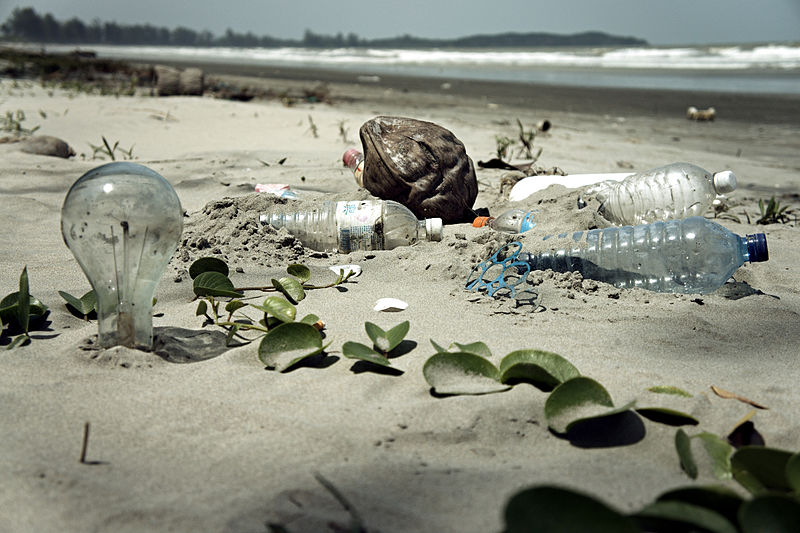 Waste pollution in Malaysia. From Toxic Tourism