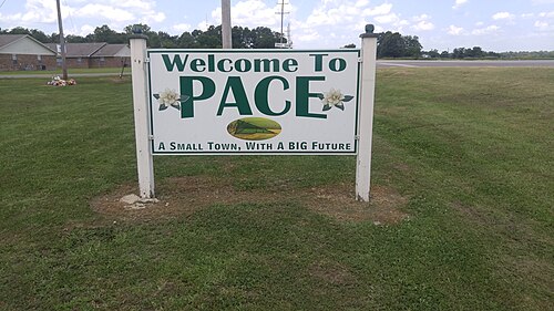 Pace chiropractor