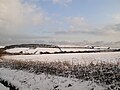 A field off Kingates Lane, Whitwell, Isle of Wight seen three days after heavy snowfall occured on the island on 5 January 2010.