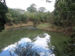 The Wilsons River at Boatharbour Reserve