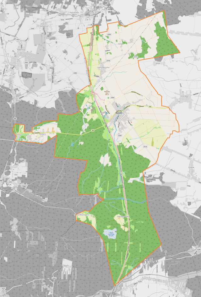 Mapa konturowa Woźnik, po lewej znajduje się punkt z opisem „Dyrdy”