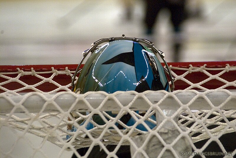 File:Worcester Sharks Goalie helmet.jpg