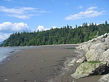 View of Point Grey from Wreck Beach proper.