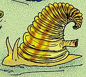 Life restoration of the probable Cambrian mollusc Yochelcionella Yochelcionella cyrano.JPG