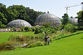 Zürich - Weinegg Botanischer Garten IMG 1863.jpg