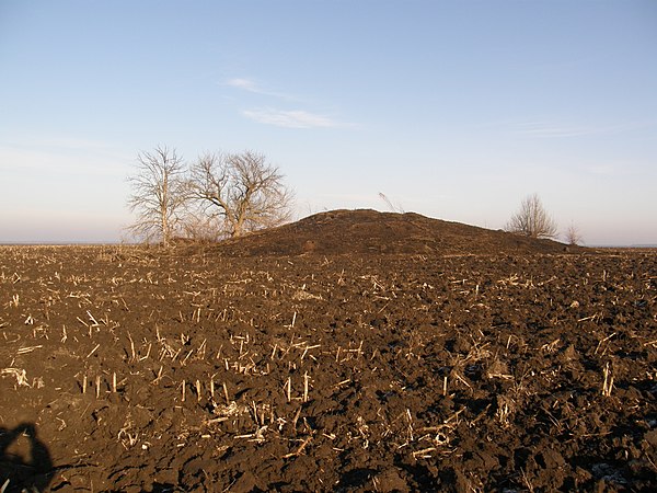 Кургани, село Веселівка, © Михайло Потупчик, ліцензія CC-BY-SA-4.0