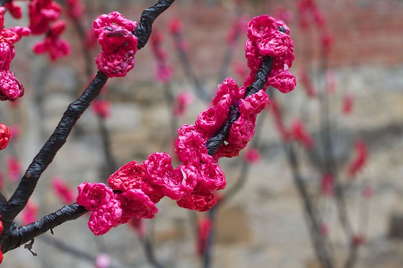 File:"Sakura Polymers" by Anna Philips is an exhibit at Salamanca Place in Hobart (6471600479).jpg