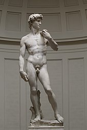 'David' by Michelangelo Fir JBU002.jpg
