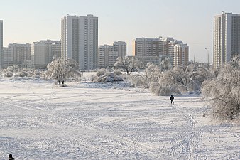 zamarznięty staw