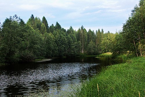 Чаща гатчинский. Река Оредеж Гатчинский район. Деревня Кремено Гатчинский район. Река Кременка Гатчинский район. Кременка (приток Оредежа).