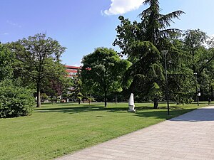 Свјетлопис споменика природе Пионирски парк, Биоград2.jpg