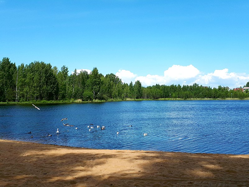 File:0013. Pargolovo. Finnish lake.jpg
