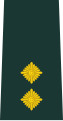 Teniente (Ejército de Ghana)