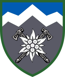 10th Mountain Assault Brigade Insignia (UA).svg