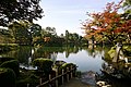 Autumn image of Kasumi Pond and Kotoji-tōrō Lantern.
