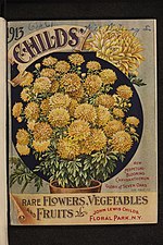 Fayl:1913 front cover Childs' rare flowers, vegetables and fruits.jpg üçün miniatür