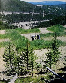 220px 1980 1990 national program of research for forests and associated rangelands. %281982%29 %2820563970212%29