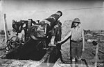 A 1st Siege Battery 8 inch gun and Gunner Harold Alexander Triggs in 1917