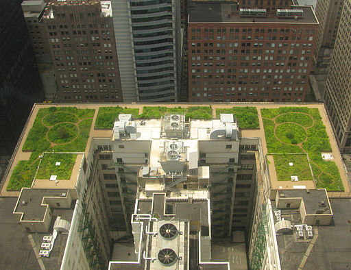 20080708 Chicago City Hall Green Roof edit 2