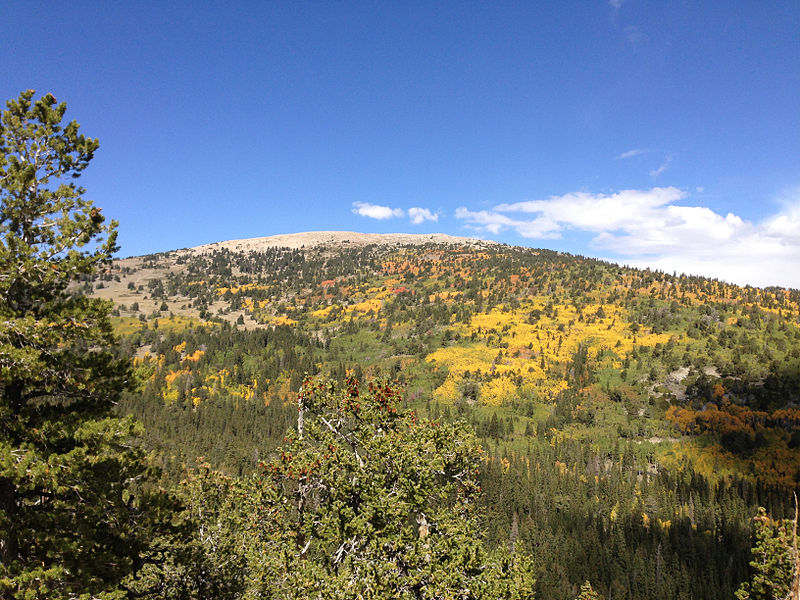 File:2014-09-15 11 11 01 View of Bald Mountain and its Aspens during autumnal foliage coloration from the Bristlecone Trail and the Glacier Trail in Great Basin National Park, Nevada.JPG