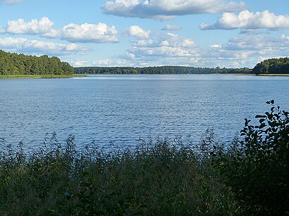 So kommt man zu dem Labussee mit den Öffentlichen - Mehr zum Ort Hier