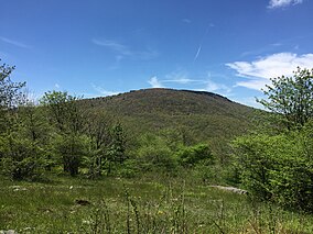 2017-05-16 12 33 17 Blick vom Appalachian Trail auf den Elk Garden Ridge nach Südwesten in Richtung Whitetop Mountain im nationalen Erholungsgebiet Mount Rogers im Smyth County, Virginia.jpg