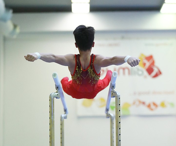 File:2019-11-30 OHC Liberec 2019 MAG Apparatus finals Parallel bars (Martin Rulsch) 325.jpg