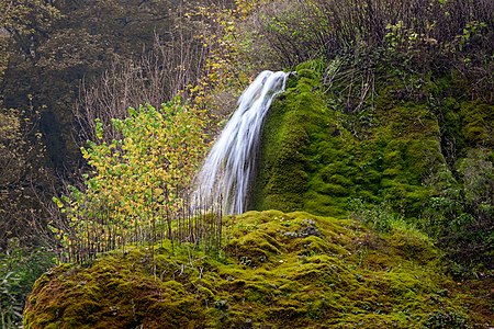 2020 10 16 Dreimühlen Wasserfall 0542