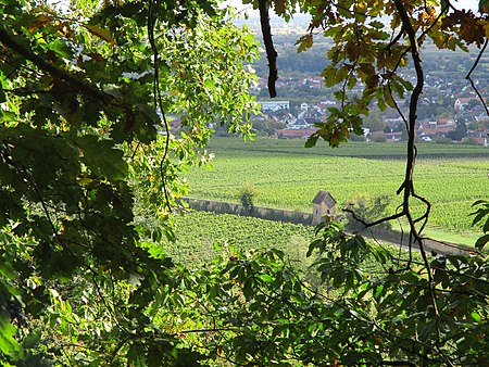 20201010Deidesheim2