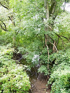 Mündung des Norfbachs in die Erft bei Gnadental