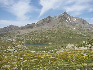 Monte Gavia as seen from the Gaviapass (left)