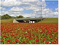 2nd Place- Best Overall- Division 2- Red Zinnias (16821403998).jpg