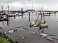 394 Missing docks-sunken boat (15122146482).jpg