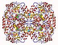 Thumbnail for Beta-alanine—pyruvate transaminase