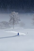 Cross-country skiing