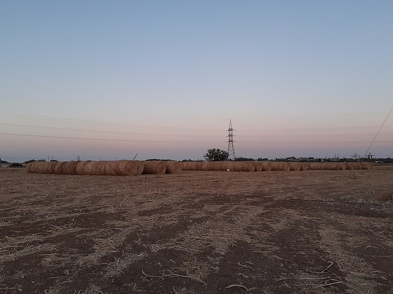 File:Agriculture in Ypsonas village Limassol Cyprus at sunset 12.jpg