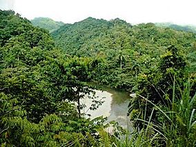 Alejandro de Humboldt Nationalpark.jpg