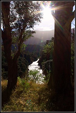 Tauherenikau Sungai