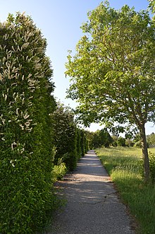 Allée de l'Esparanto Salouël.jpg