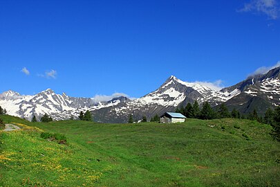 nature - Almlandschaft auf der Alpe di Pesciüm